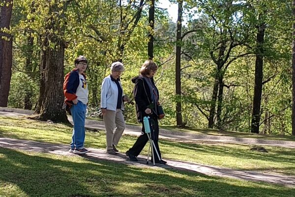 IMG_20250408_112023229 IMG_20250408_112023229